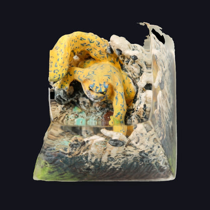 One-Tail Resin Keycap — top view