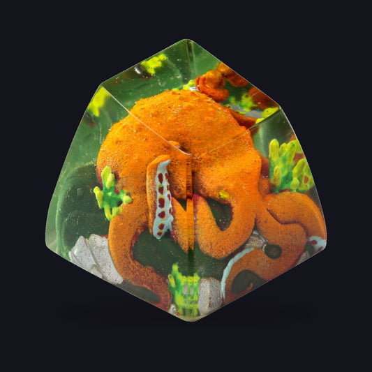 Octopus Orange Resin Keycap — studio square