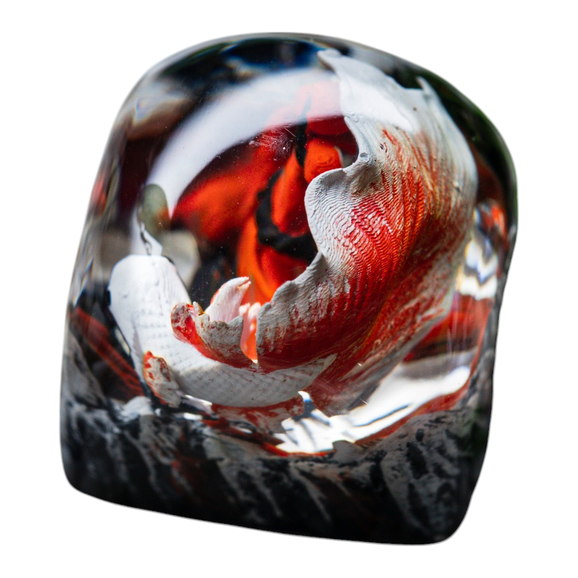 Koi Fish White Red resin artisan keycap