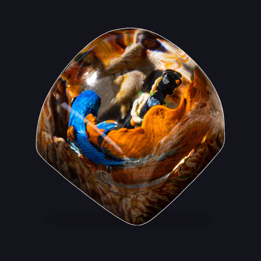 Koi Fish Blue Resin Keycap — studio square